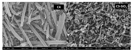 C4 분말과 C3-SiO2 분말의 SEM 이미지