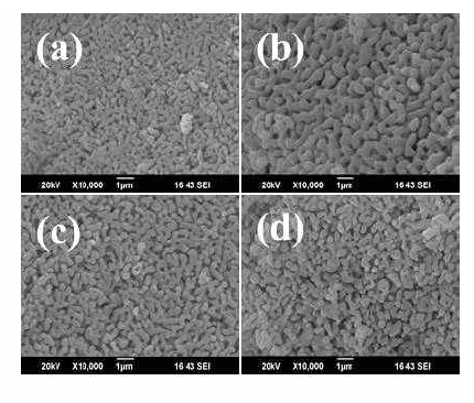 FE-SEM 이미지(a) CaZrO3:6%Eu3+, (b) CaZrO3:6%Eu3+,6%Li+,(c) CaZrO3:6%Eu3+,6%Na+, (d) CaZrO3:6%Eu3+,6%K+