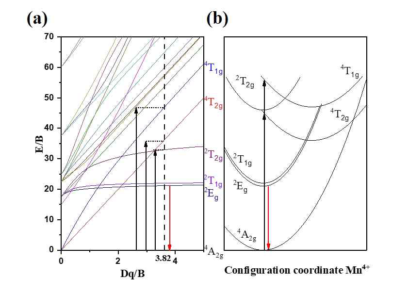 (a) Tanabe-Sugano energy-level diagram of Mn4+ in an octahedral crystal field, and (b) Configuration coordinate diagram for Mn4+