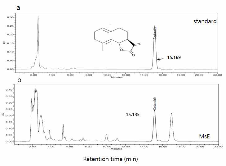 HPLC analysis of standard of costunolide (10 mg/ml) (a) and MsE (10 mg/ml) (b)