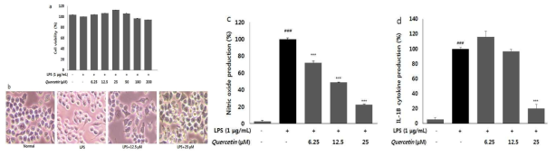 Effects of Quercetin on cell viability (a), morphological change (b), and NO production (c) were measured by cell viability, proliferation ＆ cytotoxicity assay kit and griess reagent assay. The production of IL-1β (d) was determined by ELISA kit. Data are means ± standard deviation (SD). ###p<0.001 vs. normal cells; ***p<0.001 vs. LPS-stimulated cells