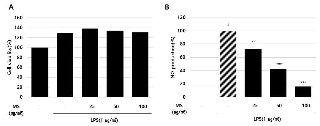 Cell viability(A) and NO production(B) of magnolia sieboldii on RAW 264.7 cells treated with LPS. #p<0.05 compared with normal, **p<0.01 and ***p<0.001 compared with LPS controls