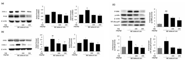 Inhibitory effects of G. koreanum on inflammatory protein and cytokine expression in esophageal mucosa of acute reflux esophagitis (RE)-induced rats. Expression of cytokines TNF-α and IL-1β(a), inflammatory protein iNOS, COX-2, p-ERK, p-IkB-α and p-p65 proteins (c). Data are means ± standard deviation (SD). significance: ##p<0.01 and #p<0.05 compared with normal control; ***p<0.001, **p<0.01 and *p<0.05 compared with RE control