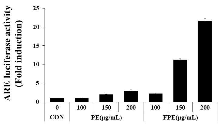 자외선 자극에 의한 세포 내 ARE luciferase 활성 변화