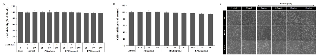 감발효추출물(FPE)의 세포독성. A:B16F10 mouse cell, B:HMV-Ⅱ human cell, C:Morphology. PE:persimmon extract, FPE1:fermented persimmon extract 1, FPE2:fermented persimmon extract 2