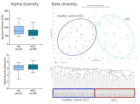 정상 대조군과 간암에서의 alpha 그리고 beta diversity 비교 분석 결과