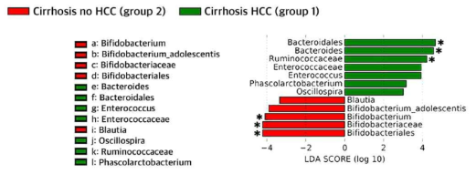 Cirrhosis no HCC, Cirrhosis HCC 그룹 간 LEfse 분석 결과