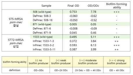 psm-mec 유전자 결실 및 삽입 변이주들의 biofilm 생성정도