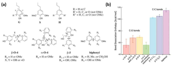 (a) 리그닌을 구성하는 세 종류의 phenylpropanoid 단량체(윗부분)와 화학 결합이 일부 변형된 native lignin 대표 모델(아랫부분), (b) 리그닌 안에 존재하는 다양한 화학 결합의 결합에너지 (Ref 1)