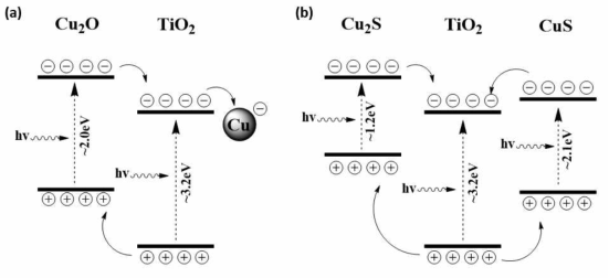 Energy band gap diagram and possible photoinduced electron, hole transfer in (a) Cu/Cu2O/TiO2 and (b) CuS/Cu2S/TiO2