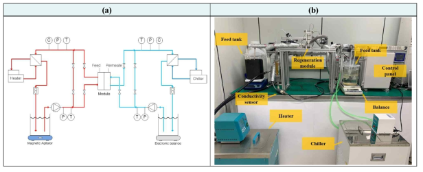 (a)Schematic and (b)photograph of the experimental setup for the regeneration process