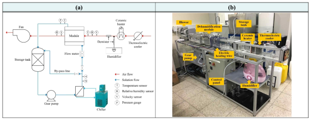 (a)Schematic and (b)photograph of the experimental setup for the absorptive dehumidification process