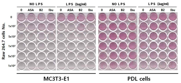 LPS 에 의해서 유발된 Raw 264.7 세포의 염증반응과 염증제어물질들이 골세포와 치주인대세포의 ALPase 활성에 미치는 영향. 골세포와 치주인대세포들이 각각 Raw 264.7 세포들과 LPS가 포함된 골분화배지에서 7일 동안 배양한 후 ALPase를 염색함