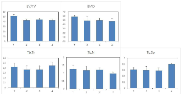 Micro-CT 를 이용한 골부피 및 구조 분석. CTAn 프로그램을 이용하여 골부피(BV/TV), 골밀도 (BMD), 골소주두께 (Tb.Th), 골소주 수(Tb.N) 골소주 분리(Tb.Sp). * 1. 3D scaffold+BMP-2 이식군, 2. 3D scaffold 이식군, 3. Granule 이식군, 4. (-) control. ** BV/TV: Bone volume fraction (%); BS/BV: Bone surface density (mm-1); Tb.Th: Trabecular thickness (mm); Tb.N: Trabecular number (mm-1); Tb.Sp:Trabecular separation (mm)
