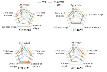 NaCl 처리에 따른 WT 및 CsRCI2H OX 카멜리나의 생산성 검정