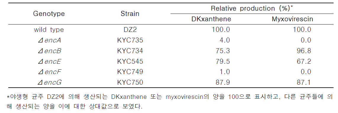 enc 유전자의 삭제변이가 DKxanthene과 myxovirescin 생산에 미치는 영향