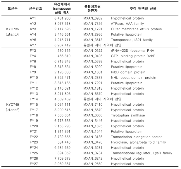 본 연구에서 선별된 encA와 encF 삭제변이의 억제자 변이 위치