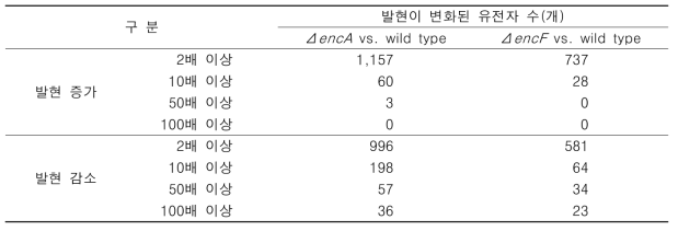 encA와 encF 삭제변이에 의해 발현이 변화된 유전자 수