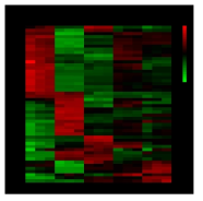 The heat-map of key enzymes on microbial communities from different fermented skate samples