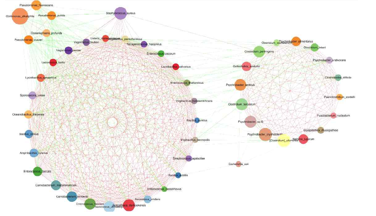 preponderant microbial association network graph