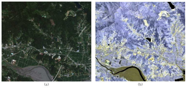 Worldview-3 영상의 분류를 수행하기 위한 실험지역. (a) 순천지역 Worldview-3 영상의 천연색 영상, (b) 순천지역 Worldview-3 영상의 위색 영상