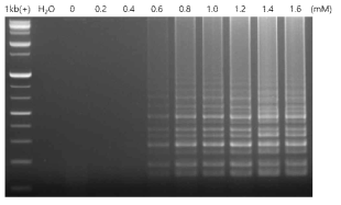 RT-LAMP with different dNTPs concentrations. RT-LAMP PCR for negative control (H2O) was conducted using reaction mixture containing 1.4 mM of dNTPs. The 10x isothermal buffer (New England Biolabs Ltd., UK) was used to determine dNTPs concentration of RT-LAMP PCR