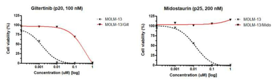 FLT3-ITD 변이 백혈병 세포주(MOLM-13)에 FLT3 억제제인 gilteritinib과 midostaurin을 점차적으로 농도를 높여 처리하여 구축 중인 내성세포주 a) Gilteritinib 내성세포주(MOLM-13/Gilt), b) Midostaurin 내성세포주(MOLM-13/Mido)