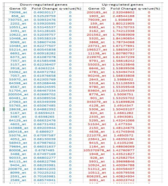 List of the down (blue)- and up (red)-regulated gene lists by siE2F8 in PC-3 and LNCaP cells