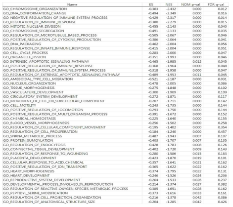 List of the deferentially regulated gene sets by siE2F8 in PC-3 (위) and LNCaP (아래)cells