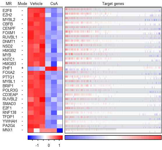 E2F8 as a master regulator in CsA-treated prostate cancer. CsA 처리한 전립선암세포주로부터 28 master regulator