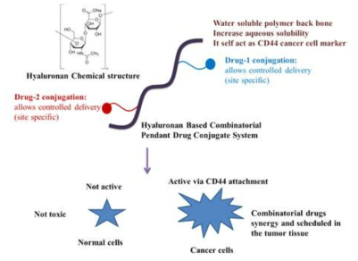 본 과제에서 수행하려는 히알루론산(HA)을 이용한 표적특이성 약물전달시스템의 개발을 위한 연구 개념도