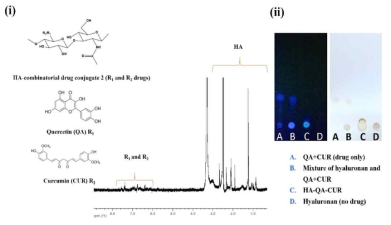 H NMR spectra of HA-QA-CUR and TLC analysis (trace amount of free QA and CUR is present in the HA-QA-CUR)