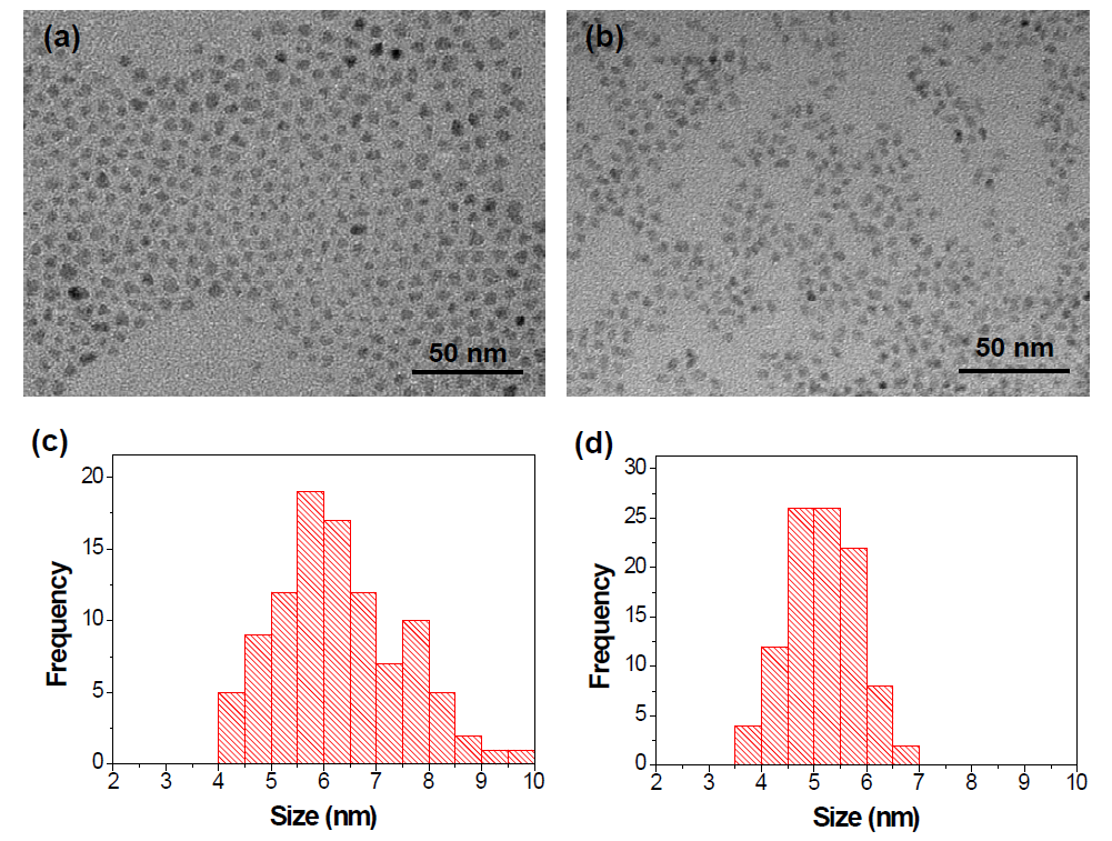Oleic acid/In(OAc)3 = 3.0인 조건 ((a))과 oleic acid 과량 조건 ((b))에서 합성한 In(OA)3 전구체로부터 제조된 InP/ZnSeS 코어/쉘 양자점의 투과전자현미경 이미지와 이들의 크기분포를 보여주는 히스토그램 ((c)와 (d))