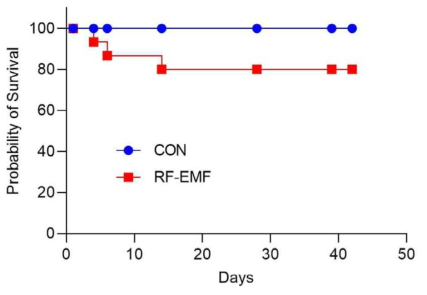 Survival rate in aging-PD mice following RF-EMF. Survival rate was monitored over time in aging mice after RFR exposure. Survival curves were compared by a Log-rank (Mantel-Cox) test. (n=16)