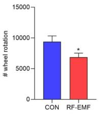 The effect of RF-EMF exposure on voluntary wheel running in aging-PD mice. Values are mean±SEM(*p<0.05; vs. CON; n=8)