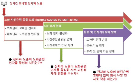 연구가설 모식도