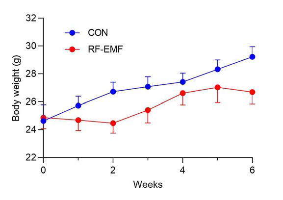 Effect of RF-EMF on body weight in aging-PD mice. Body weight was measured every week after RF-EMF exposure. Values are mean±SEM (n=14)