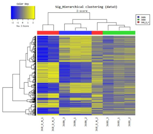 Hierarchical clusterining chart/heat map. Heat map looking at differential changes of common genes. For this each gene id normalized as a mean expression zero. Blue shows samples with expression below mean and yellow is expression above mean