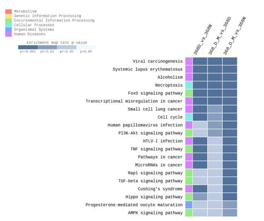 KEGG Pathway analysis involving common genes. Pathways with colors above the P-value of < 0.05
