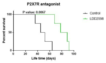 P2X7R antagonist LDD2598에 의한 마우스 생존 증가