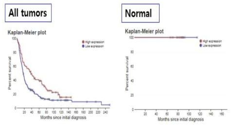 전체 종양조직에서 P2X7R의 발현이 높은군의 생존이 감소함