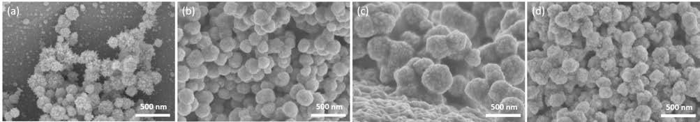 성게모양 금속 나노입자 합성 후 열처리에 따른 SEM 관찰. (a) as-prepared, (b) 300℃, (c) 500℃, (d) 700℃
