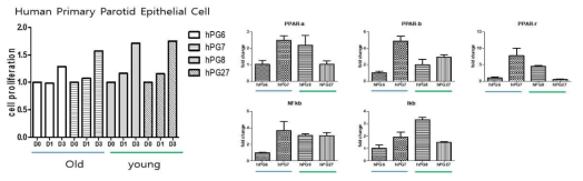 Proliferation rate and mRNA expression level of PPAR signaling molecules in human primary parotid epithelial cell with age