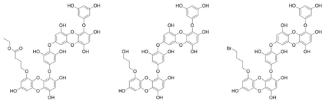 다양한 링커를 가진 Mono-substituted Dieckol