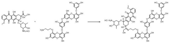 Dieckol-Doxorubicin conjugate Prodrug 합성 설계 1