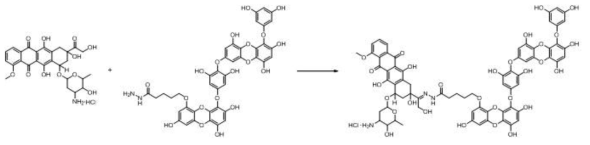 Dieckol-Doxorubicin conjugate Prodrug 합성 설계 2