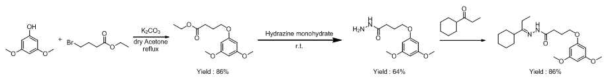 Hydrazide 및 Hydrazone 합성 model study