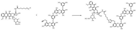 Dieckol-Doxorubicin conjugate Prodrug 합성 설계 3