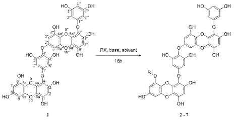 Synthesis of 6-substituted Dieckol