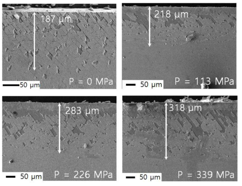 GdBCO 박막선재 조인트 부분 crack들의 지그압력에 따른 SEM images